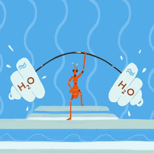 Image for Wissenswertes über Hyaluronsäure