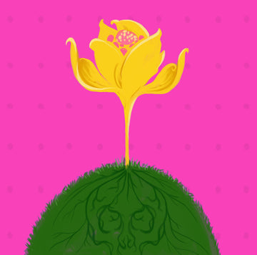 Image for Warum Du auf Dein &auml;therisches &Ouml;l getrost verzichten kannst