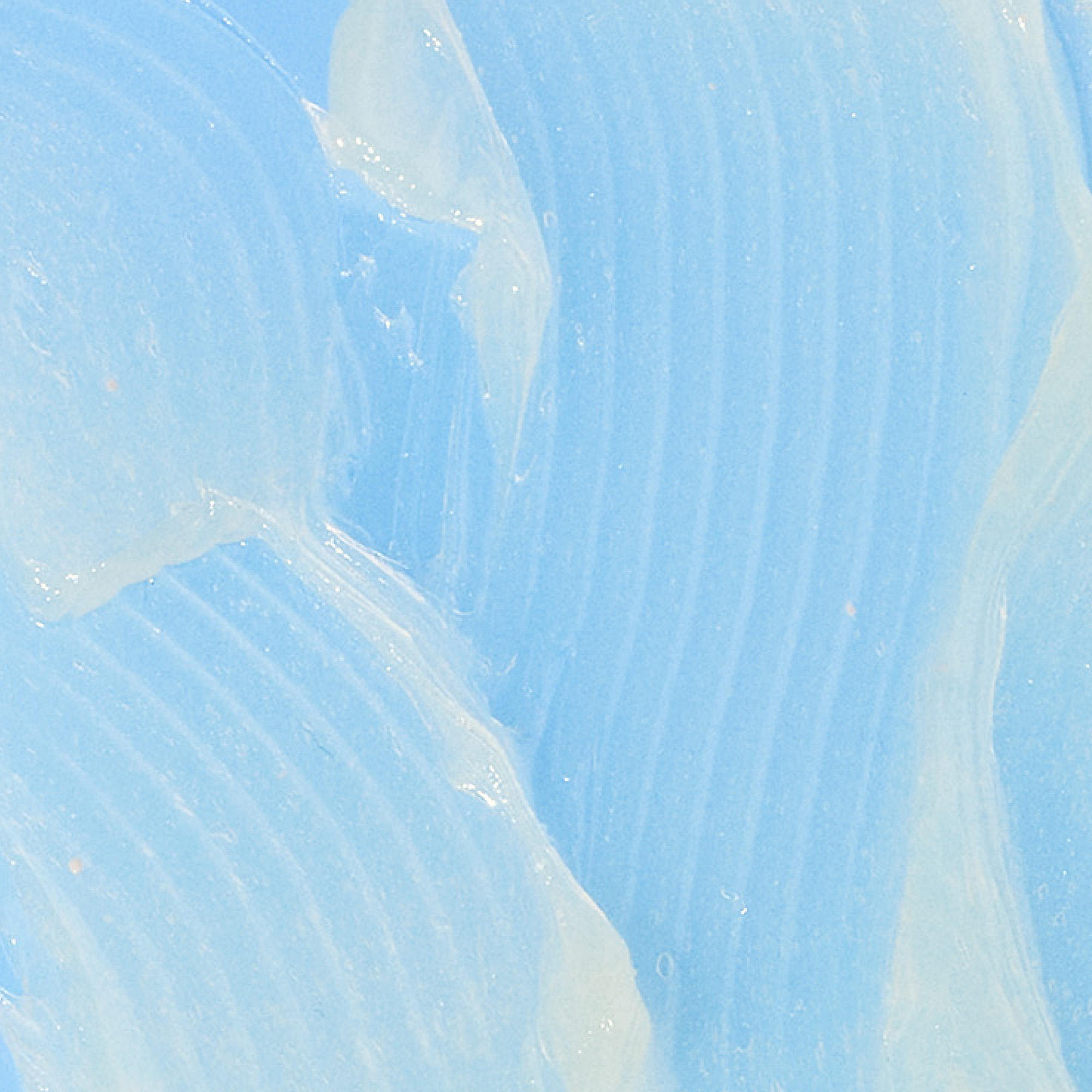 Drunk Elephant products